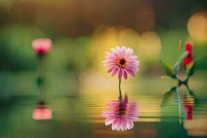 Rosa Blume im das Wasser mit ein Grün Hintergrund. KI-generiert foto