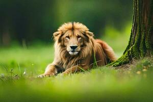 ein Löwe ist Sitzung im das Gras in der Nähe von ein Baum. KI-generiert foto