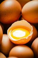 frisch Hähnchen Eier . foto