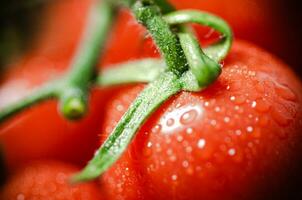frisch Tomaten Makro. foto