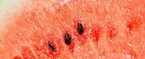 frisch Wassermelone. Makro Schuss foto