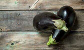 frisch reif Aubergine. foto