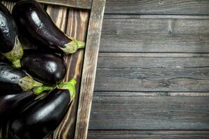 Aubergine auf ein hölzern Tablett. foto