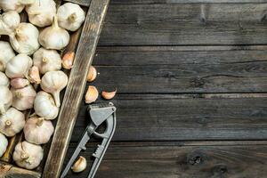 Knoblauch im Tablett und Knoblauch Drücken Sie. foto