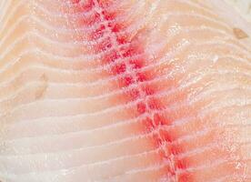 roh Fisch Filet. Makro Hintergrund. Textur von Fisch Filet. foto