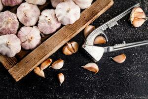 Knoblauch auf ein hölzern Tablett mit ein Knoblauch Drücken Sie. foto