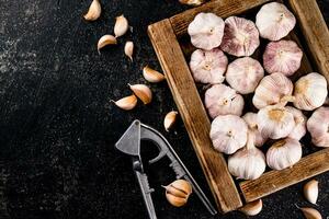 Knoblauch auf ein hölzern Tablett mit ein Knoblauch Drücken Sie. foto