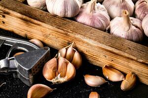 Knoblauch auf ein hölzern Tablett mit ein Knoblauch Drücken Sie. foto