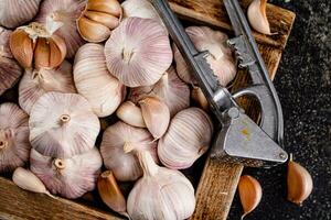 Knoblauch auf ein hölzern Tablett mit ein Knoblauch Drücken Sie. foto