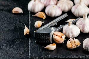 Knoblauch mit ein Knoblauch Drücken Sie auf ein Stein Tafel. foto