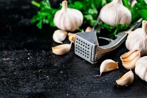 Knoblauch mit Petersilie und Knoblauch Drücken Sie. foto