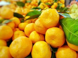 frische saftige Frucht Mandarine foto