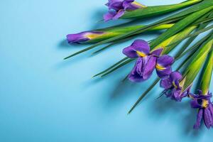 schöne Frühlingsblumen. foto