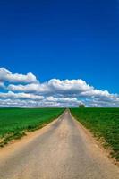 Landschaft aus grüner Wiese und Himmel foto