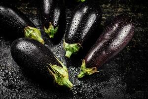 frisch nass Aubergine auf das Tisch. foto