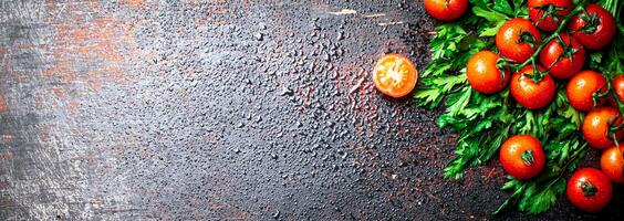 frisch Tomaten auf ein Ast mit Petersilie. foto