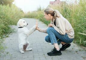 Hündchen Labrador Retriever und jung Mädchen foto