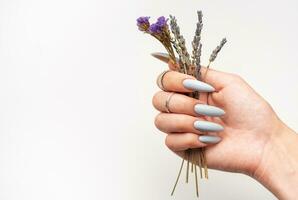 Nahansicht von ein Frau Hände mit grau gepflegt Nägel foto