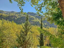 Sommer- Landschaft von das Türkisch Berge mit Grün Bäume foto