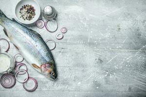 roh Fisch Lachs mit Gewürze und rot Zwiebel Ringe. foto