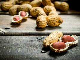 Erdnüsse mit Muscheln . foto