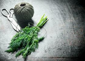 Dill Schnitt im das Zuhause Garten mit Schnur. foto