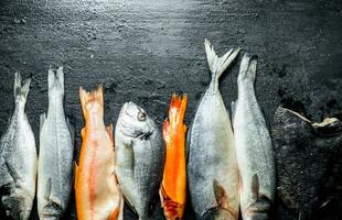 Sortiment von verschiedene frisch Fisch. foto