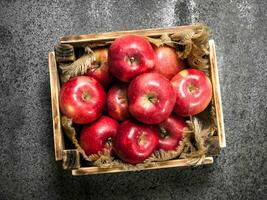 Box mit reif rot Äpfel. foto