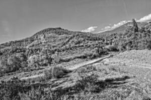 schön Aussicht von das Türkisch Berge bedeckt mit Grün Wald auf ein Sommer- Tag, foto