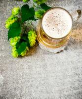 Glas von Bier und Grün Hopfen. foto