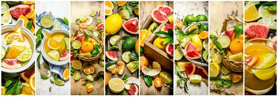 Essen Collage von Scheibe Zitrusfrüchte Früchte . foto