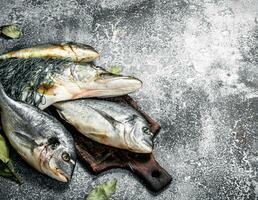 frisch unvorbereitet Fisch. foto