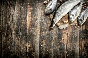 frisch Fisch auf das Tafel. foto