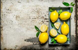 Zitronen im ein Metall Box mit Blätter. kostenlos Raum zum Text . foto