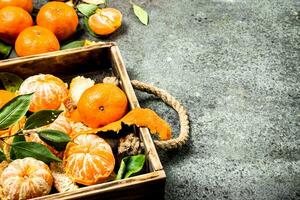 frisch Mandarinen auf ein hölzern Tablett. foto