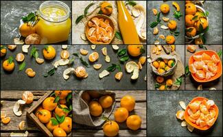 Essen Collage von frisch Mandarin . foto