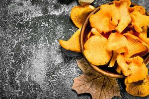 frisch Pfifferling Pilze im ein Schüssel. foto