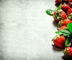 Erdbeere mit Grün Blätter. foto