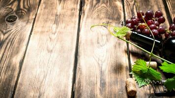 Flasche rot Wein mit ein Zweig von Trauben. foto