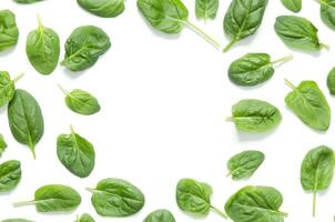 Spinat Blätter. frisch Grün Spinat isoliert auf ein Weiß Hintergrund foto