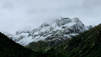 schneebedeckt Berg Spitzen im Livigno, im valtellina zuletzt Sommer- foto