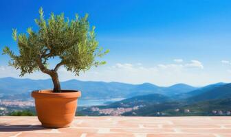 Olive Baum im terra Cotta Lehm Topf auf Weiß Terrasse ai generiert foto