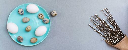 glücklich Ostern. Hähnchen und Wachtel Eier auf ein Teller und Verpackung mit Muschi Weide Geäst auf ein grau Hintergrund. oben Sicht. Netz Banner foto