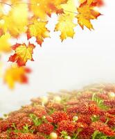 Herbstlandschaft mit leuchtend buntem Laub. Indischer Sommer. foto