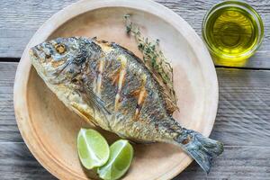 gegrillt dorade Royale Fisch auf das Teller foto