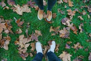 Herbstlaub auf dem Boden foto