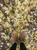 Selfie von Turnschuhe auf das Boden bedeckt mit gefallen Herbst Blätter. foto