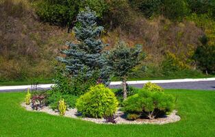 Landschaftsbau mit Pflanzen, Felsen und ein Grün Rasen. Park und Garten Komposition. Nadelbaum Pflanze Bett. foto