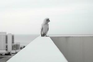 ein schwarz und Weiß Foto von ein Vogel auf ein Leiste generativ ai