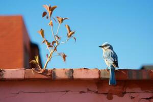 ein Blau Vogel Sitzung auf oben von ein Backstein Mauer generativ ai foto